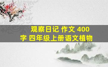 观察日记 作文 400字 四年级上册语文植物